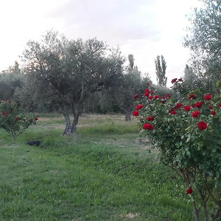 Casa De Campo Las Olivas San Rafael  Εξωτερικό φωτογραφία