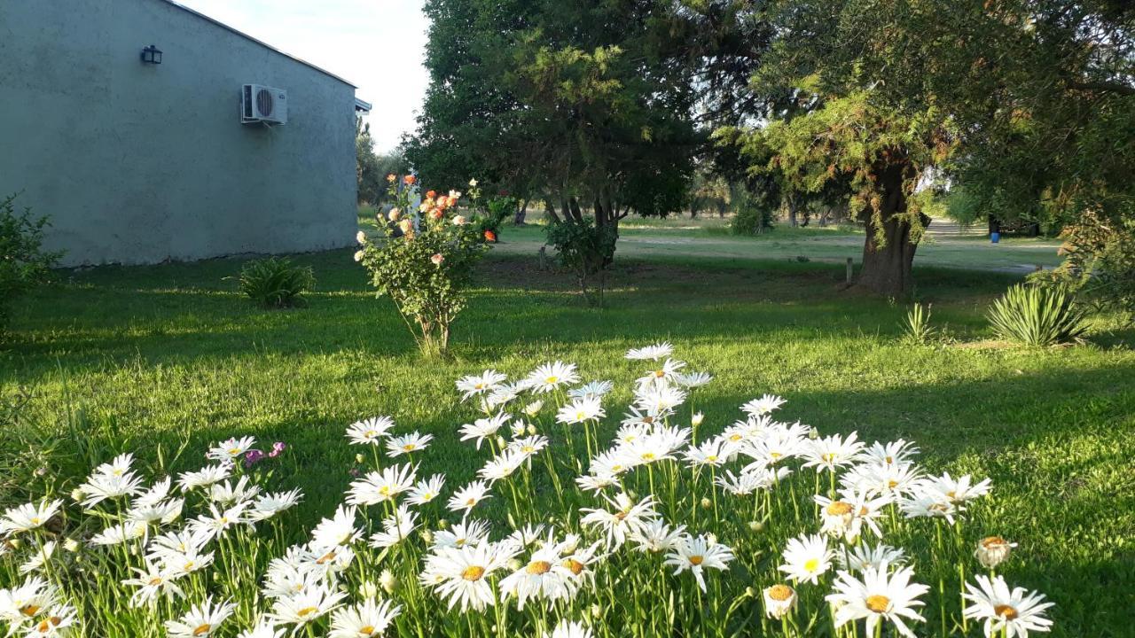 Casa De Campo Las Olivas San Rafael  Εξωτερικό φωτογραφία