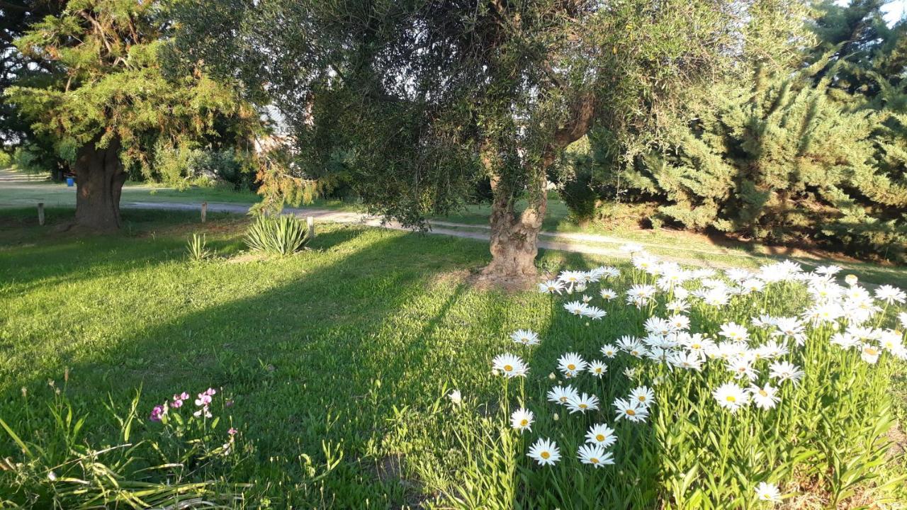Casa De Campo Las Olivas San Rafael  Εξωτερικό φωτογραφία
