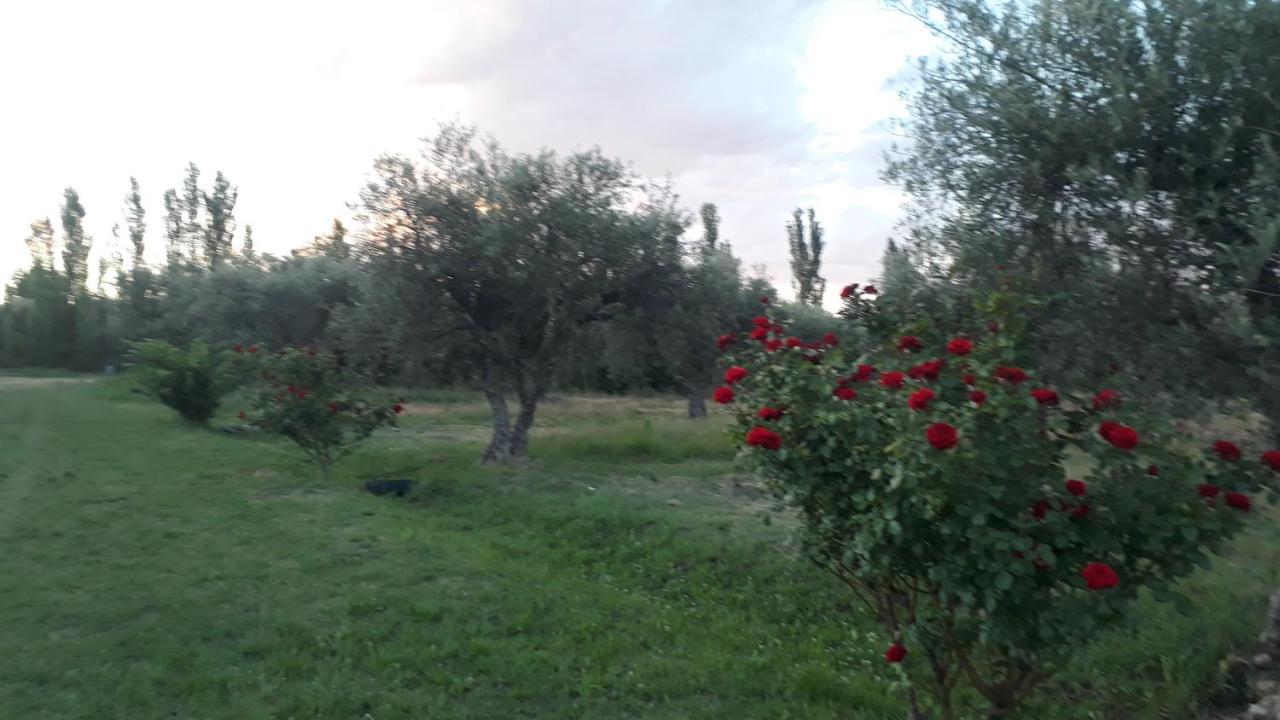 Casa De Campo Las Olivas San Rafael  Εξωτερικό φωτογραφία