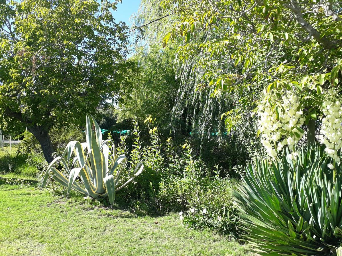 Casa De Campo Las Olivas San Rafael  Εξωτερικό φωτογραφία