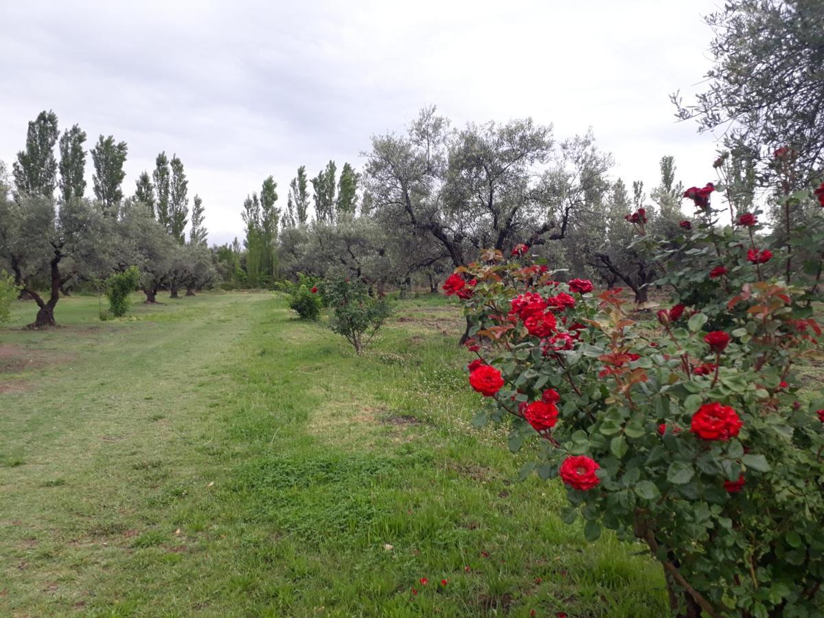 Casa De Campo Las Olivas San Rafael  Εξωτερικό φωτογραφία